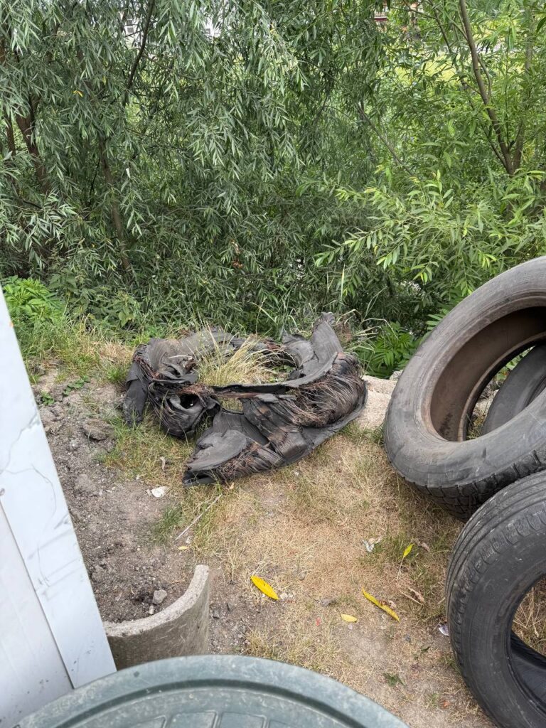 photo_2025-07-01_18-21-47